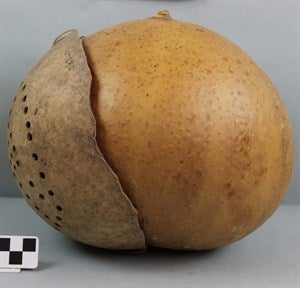 Image description is not available for FIM2015.493